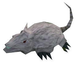 Brine rat